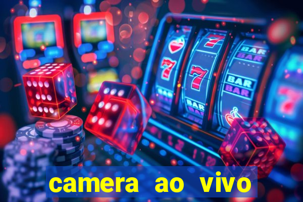 camera ao vivo terminal vila nova cachoeirinha